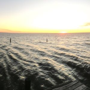 Meet your Posher, Bailey